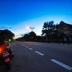 Con chim của Langkawi