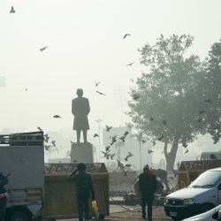 Làm quen với đặc sản xứ Ấn: Lùa gà, lùa khắp nơi