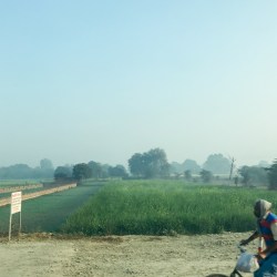 Chuyến xe đò kỳ lạ xuống Varanasi